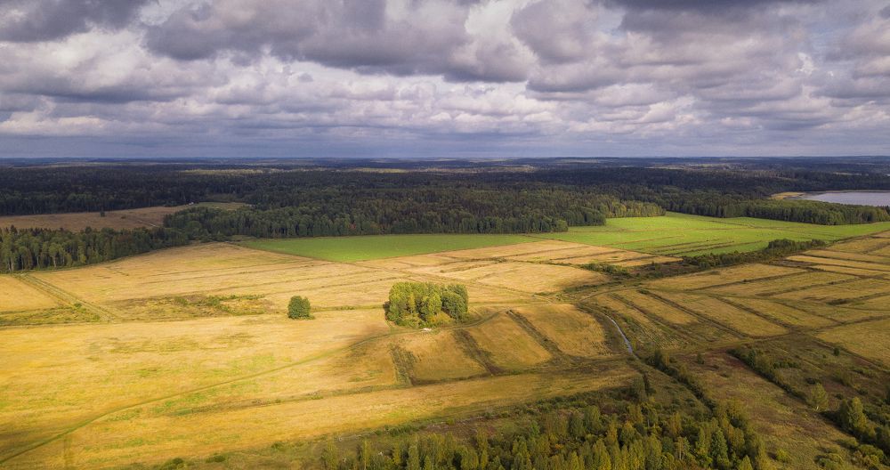 Photograph by Павел Жданов