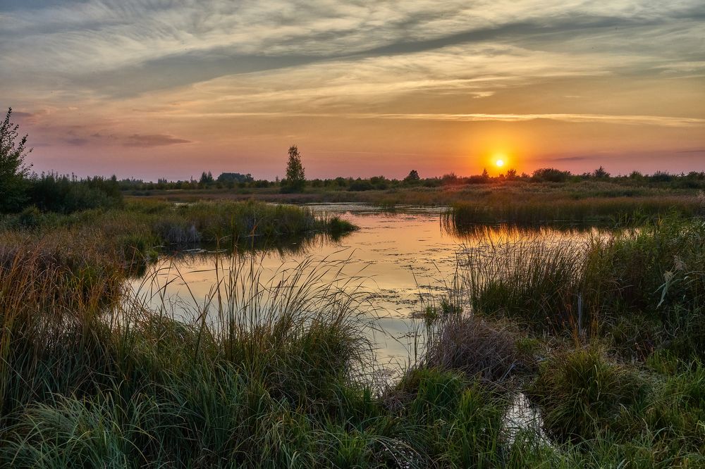 Фотография автора Виктор Долматов