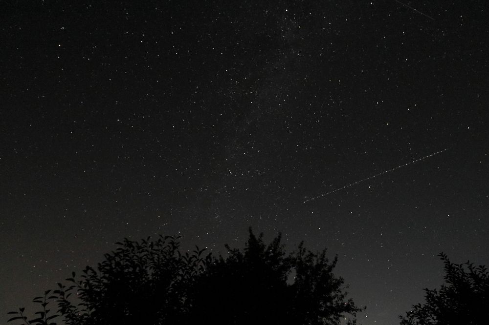 Photograph by Екатерина Каменцева