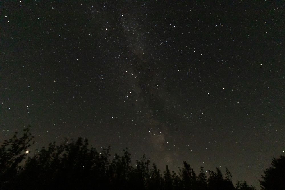 Photograph by Екатерина Каменцева