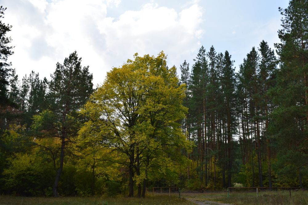 Photograph by Анастасия Аюшева