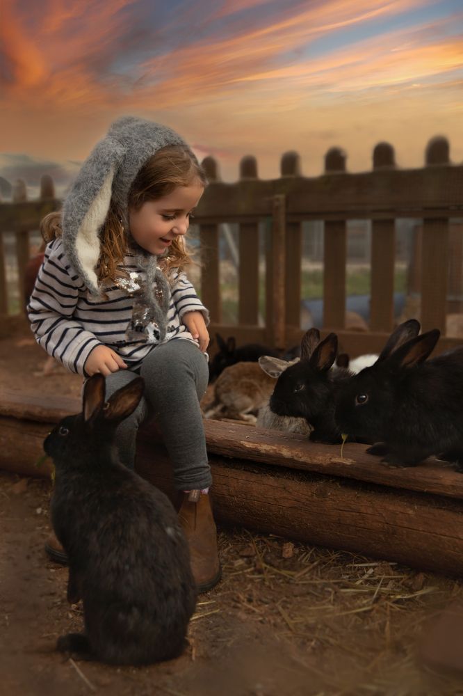 Photograph by Hamutal Avioz