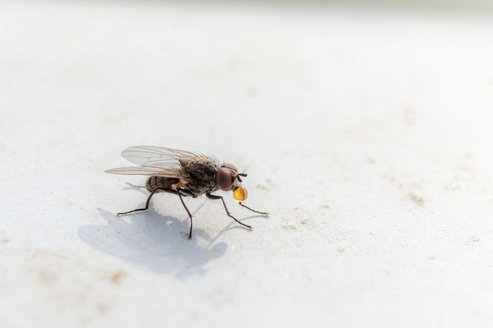 Photograph by Денис Кичев