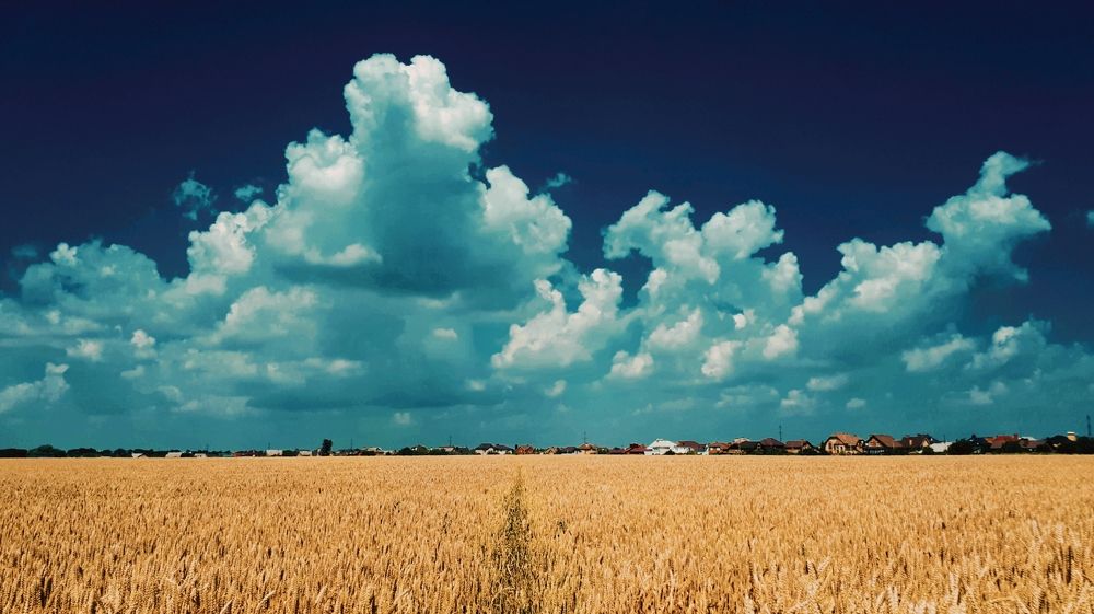 Photograph by Алёна Бондаренко