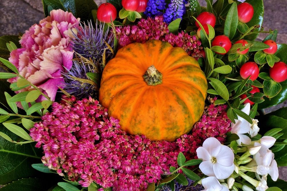 Photograph by backareva irina