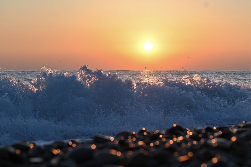 Photograph by 