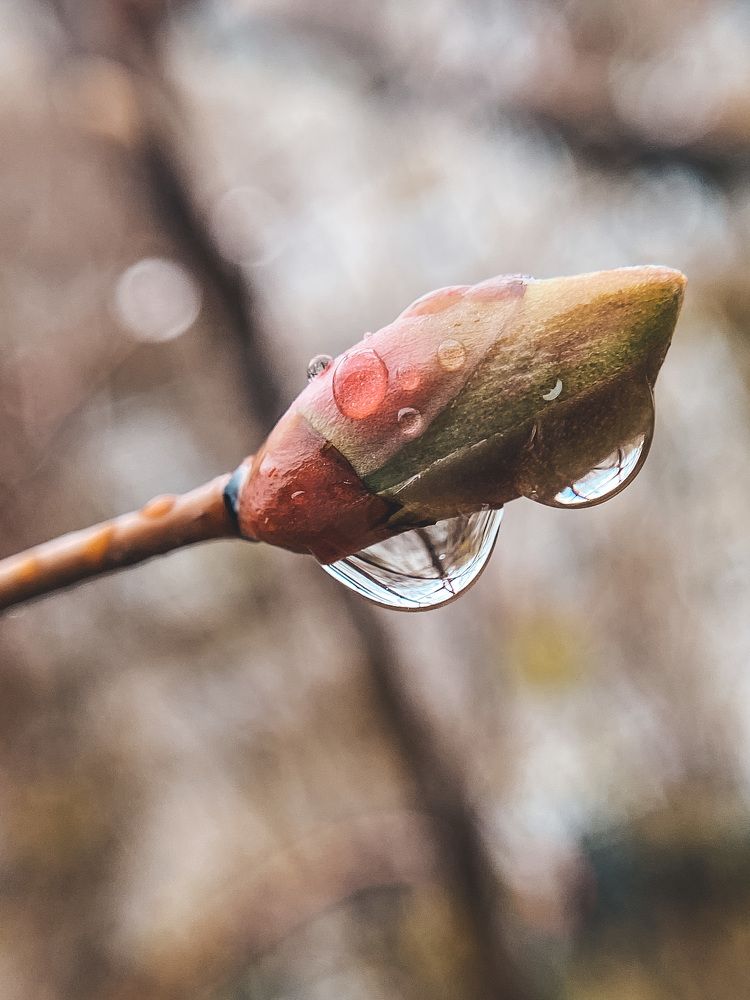 Photograph by Елена Алименко