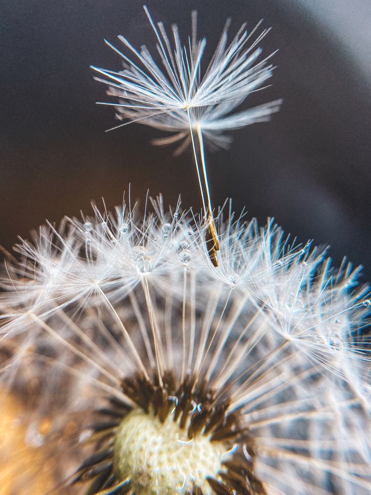 Photograph by Елена Алименко