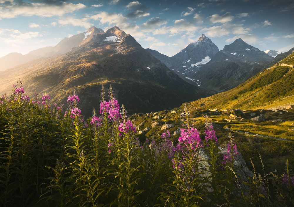 Photograph by Roksolyana Hilevych