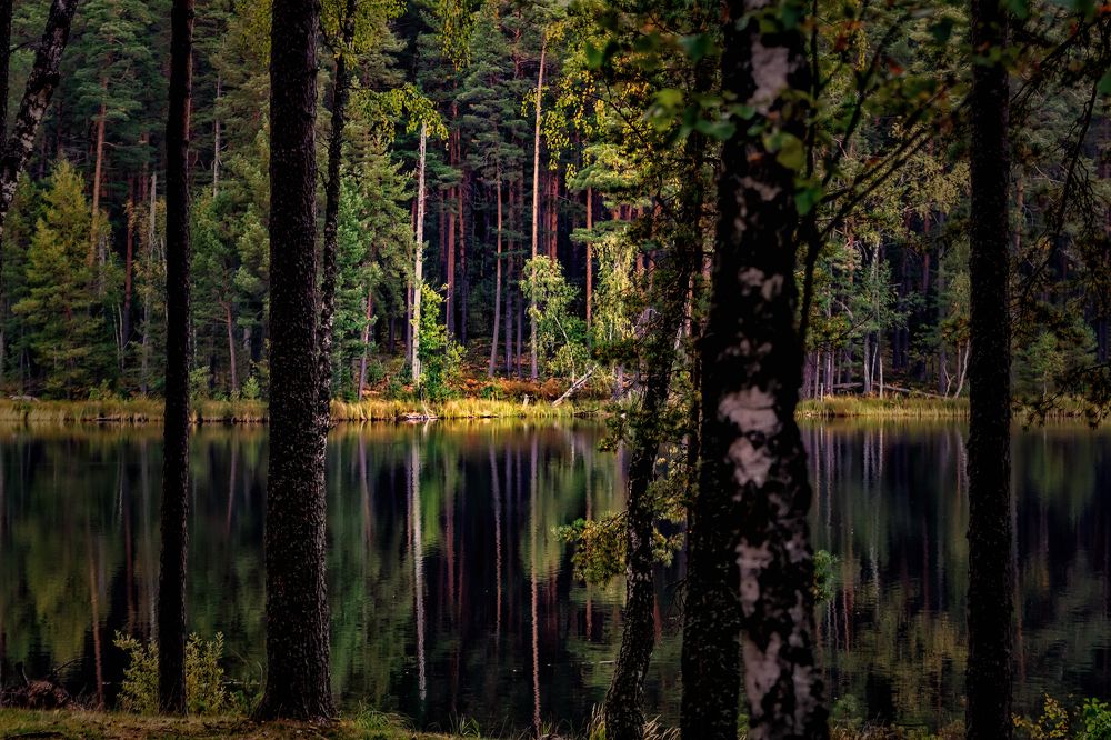 Photograph by Galina