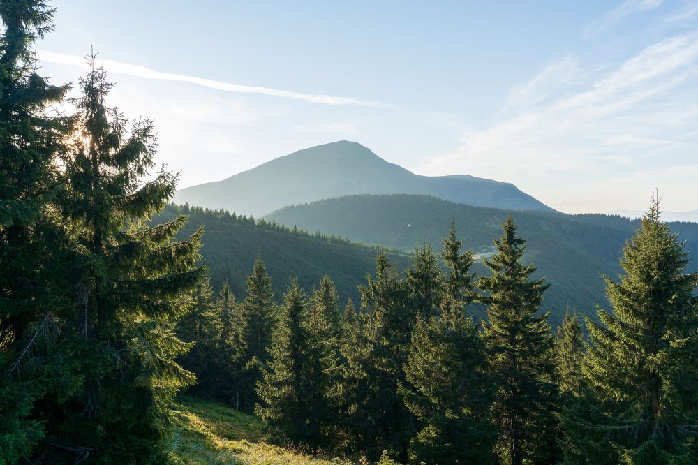 Photograph by Николай Попов