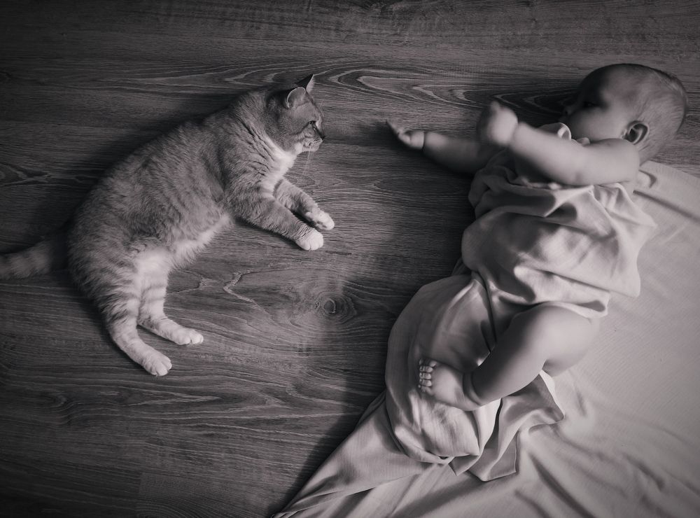 Photograph by Ирина Половцева