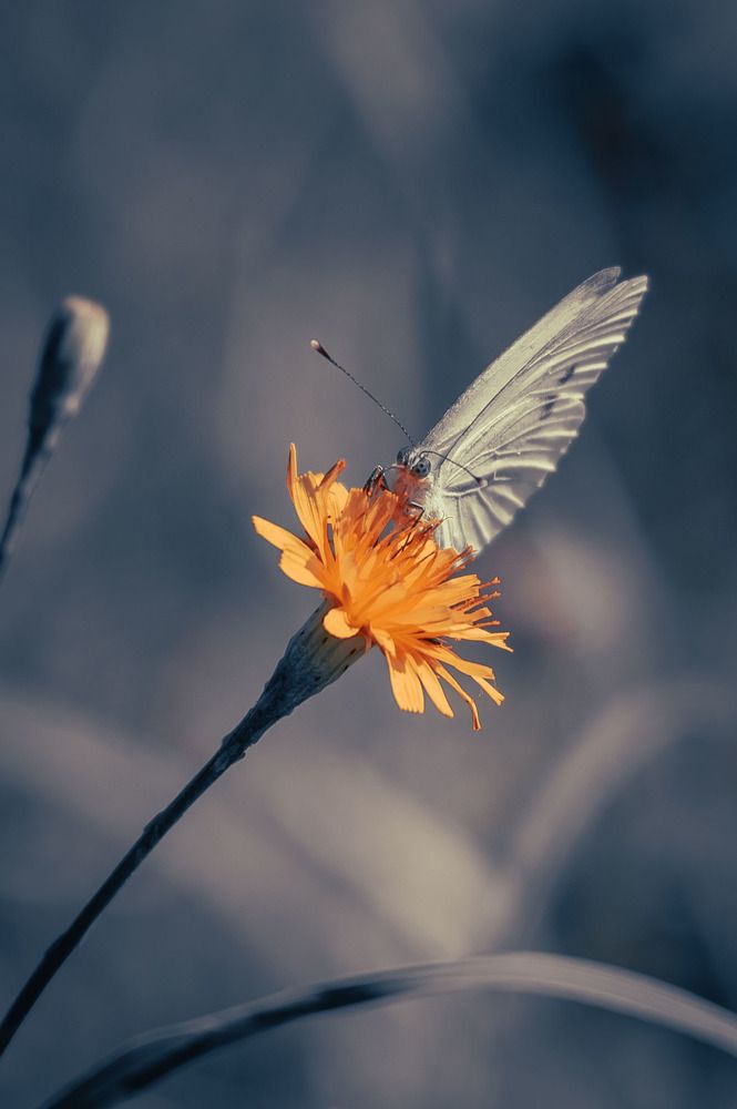 Photograph by Александр Ендин