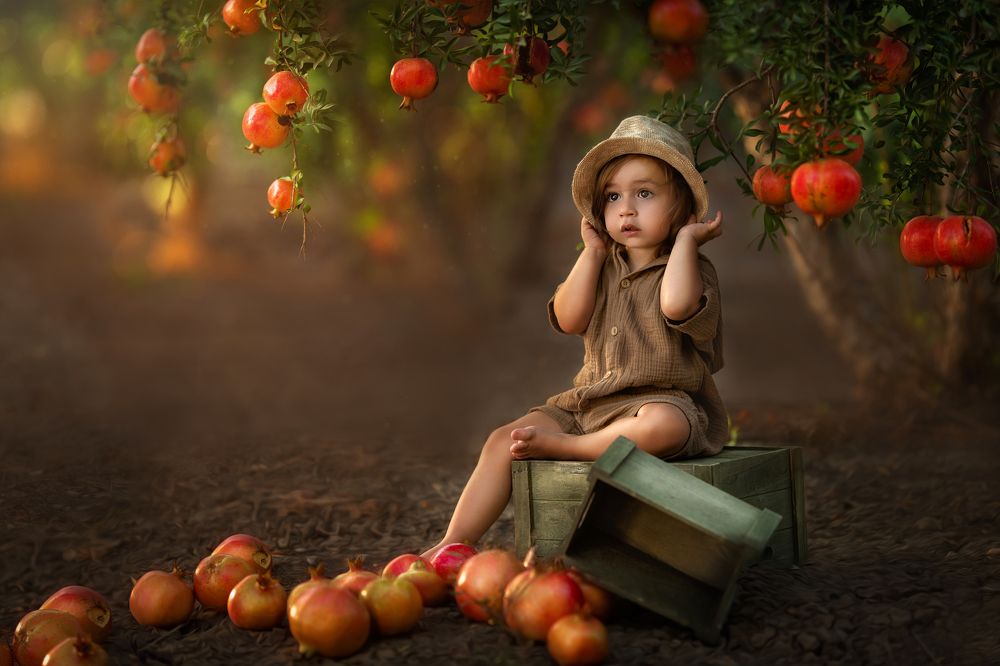 Фотография автора Osher Eden pashinsky