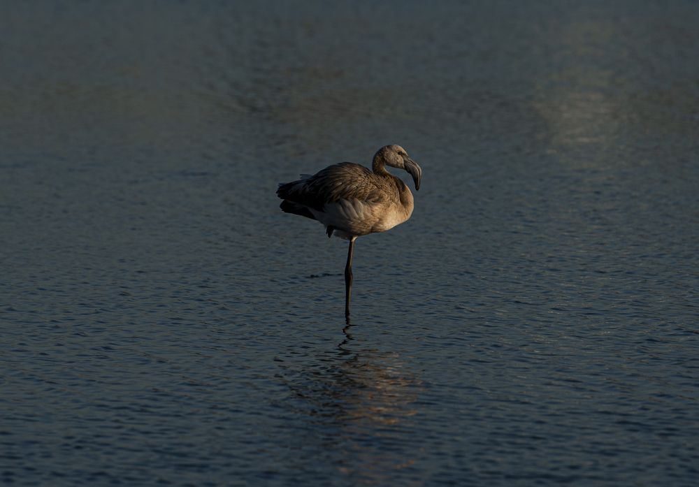 Photograph by Алибек Ибраев