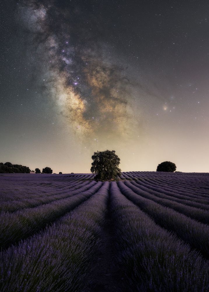 Photograph by Juan Yelin