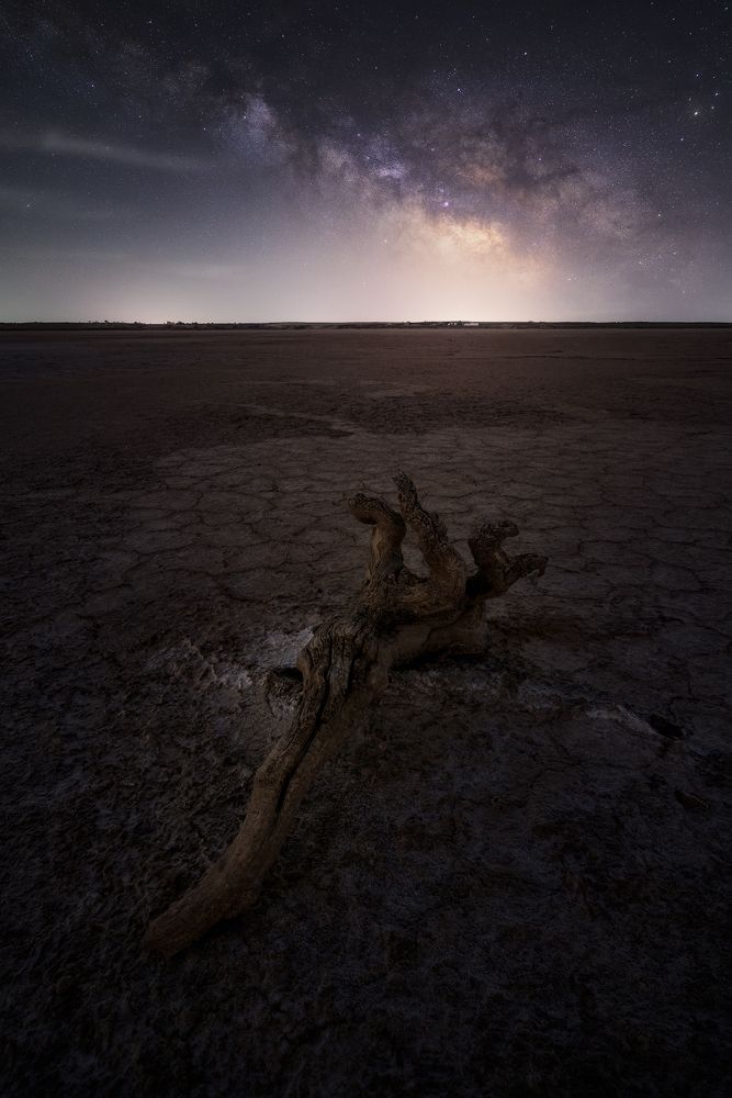 Photograph by Juan Yelin