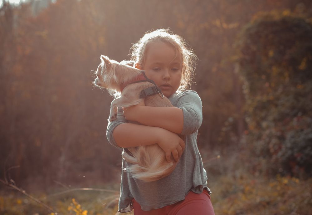 Photograph by Светлана Збраилова