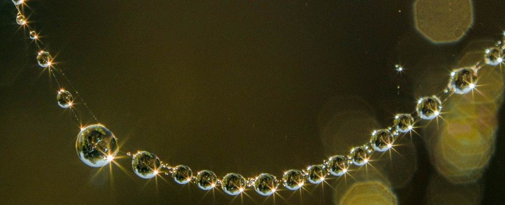 Фотография автора Екатерина Счасная