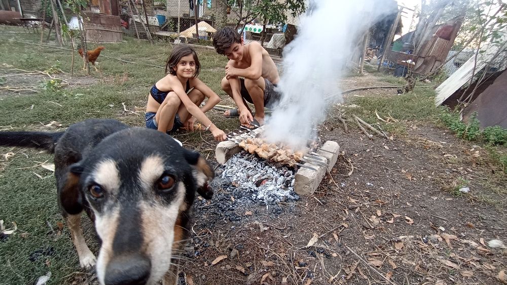 dog selfie