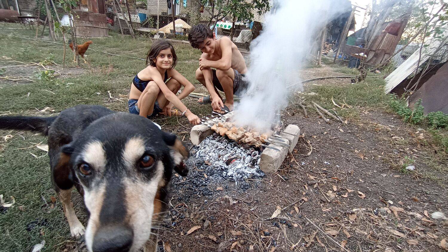 dog selfie