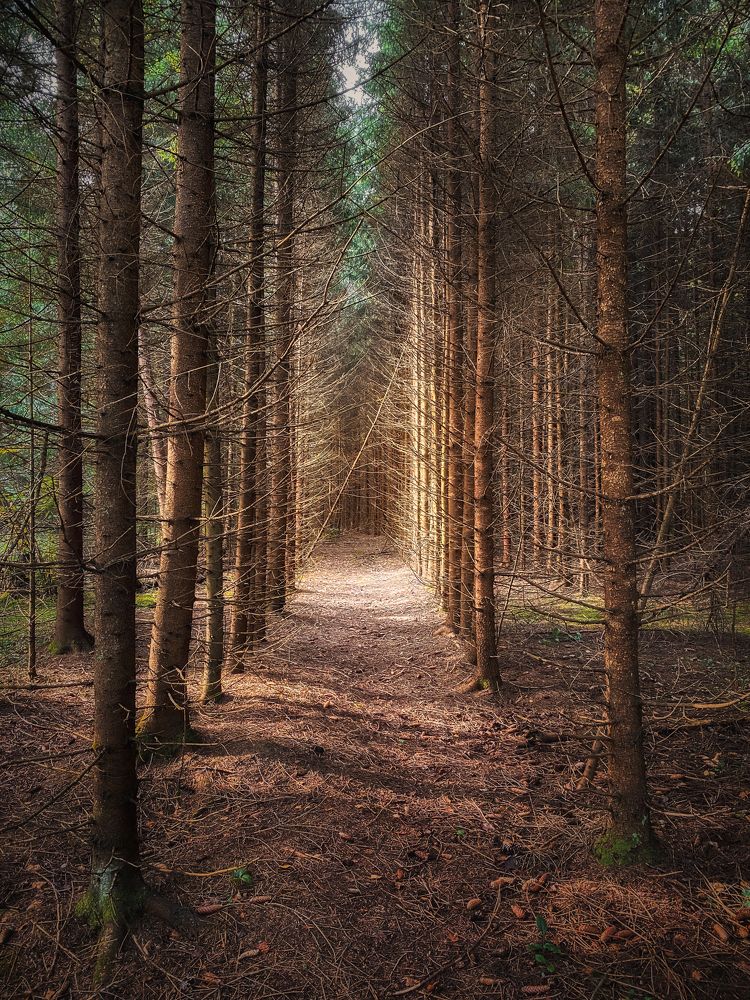 Photograph by Максим Мозжухин