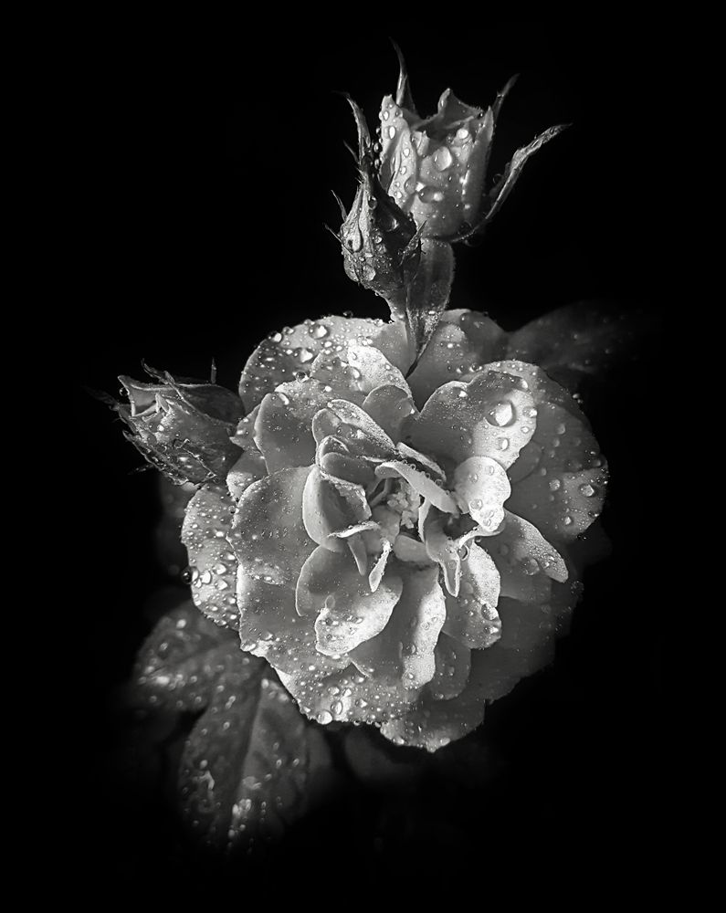 Photograph by Mohammad Dadsetan