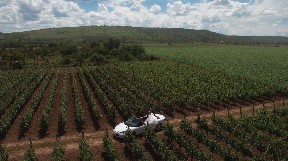 Photograph by Sergei Doni