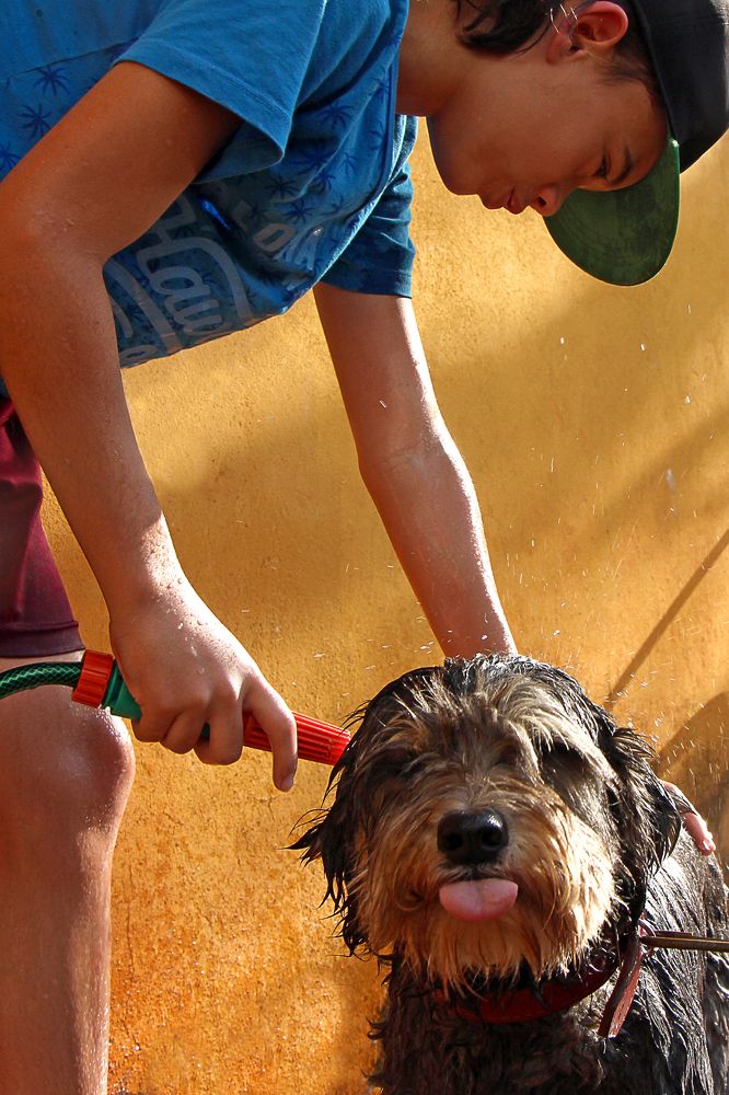 Photograph by Tatiana Barthem