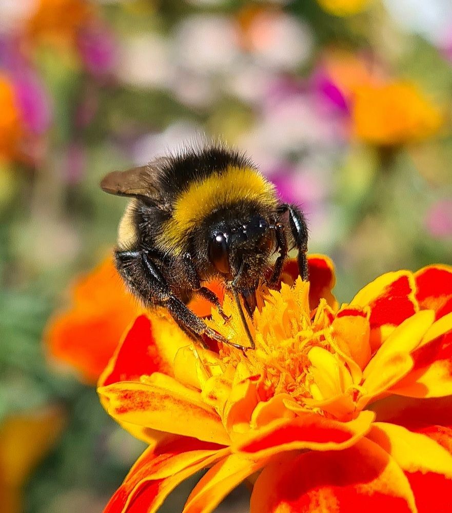 Photograph by Половова Ирина