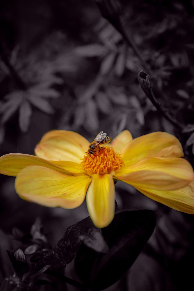 Photograph by Станислав Тюрин