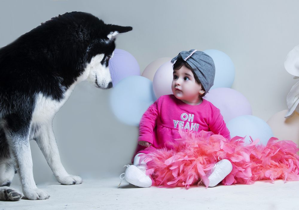 Фотография автора Ibrahim Jalal