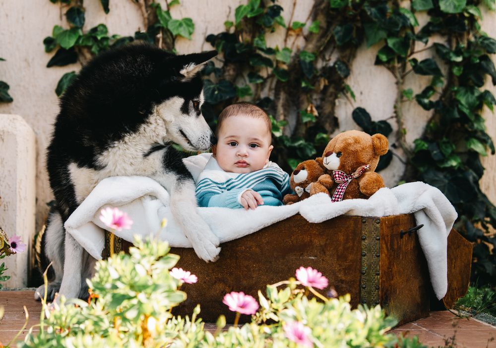 Фотография автора Ibrahim Jalal