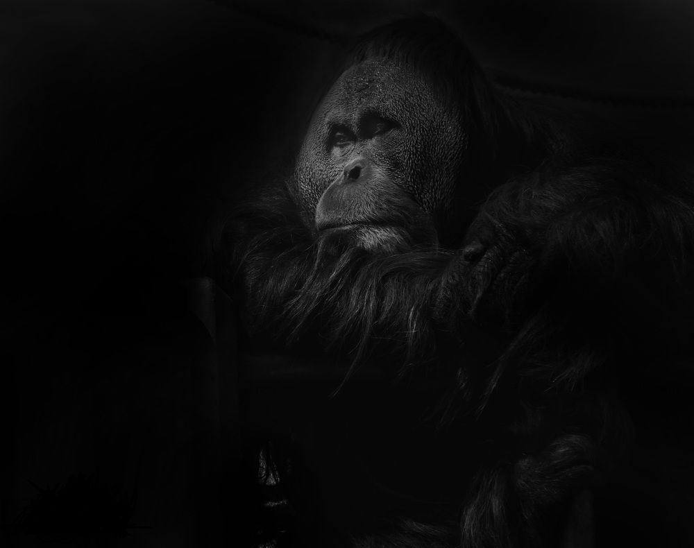 Photograph by Julie Teague