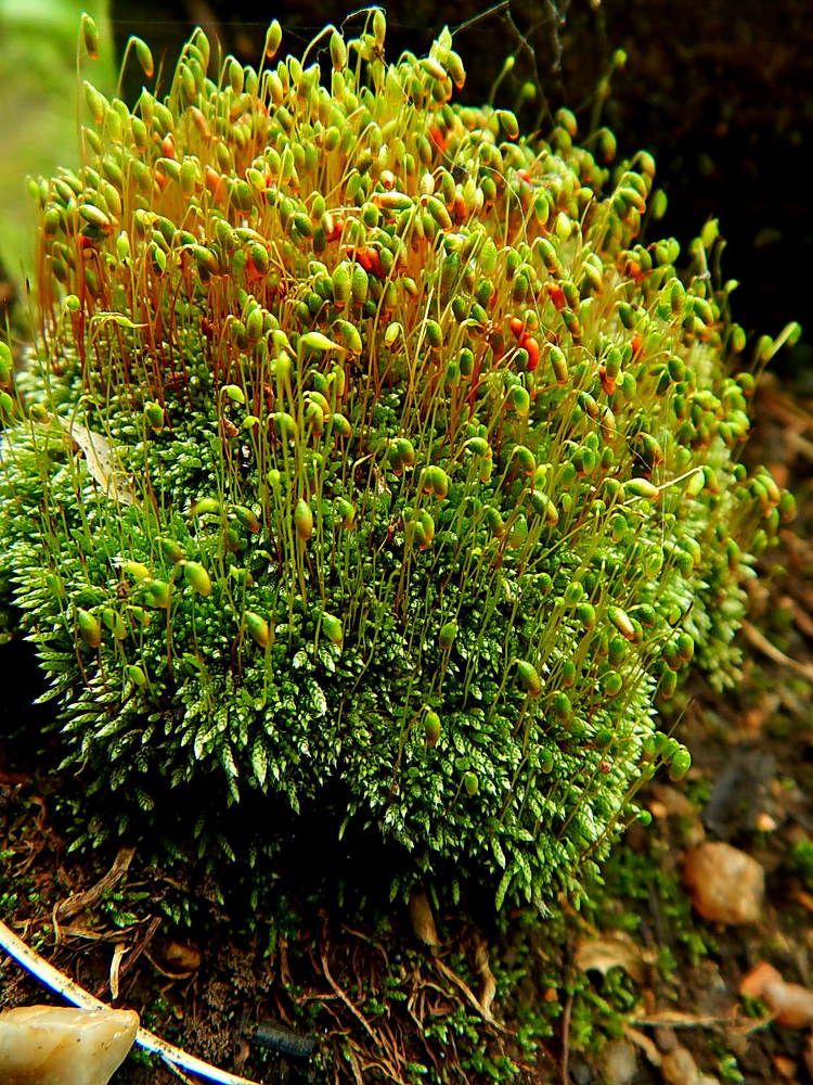 Photograph by Татьяна