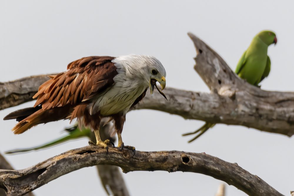 Photograph by M.I.M. Mahir