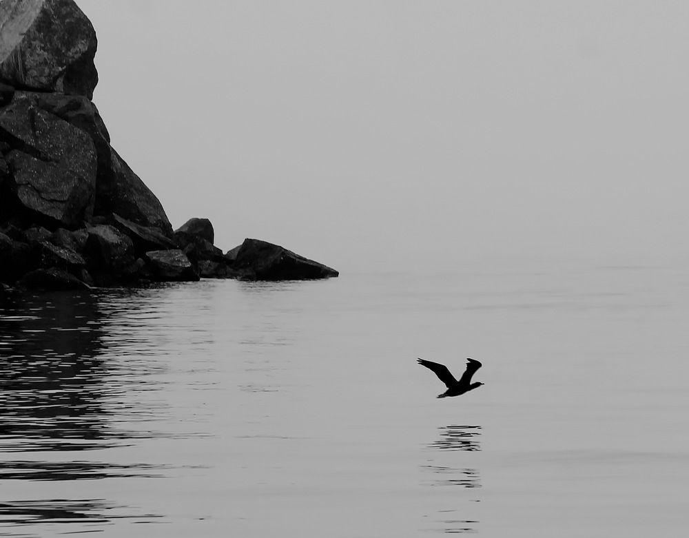 Photograph by Наталья Юрова