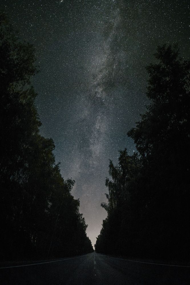 Photograph by Максим Лаптев