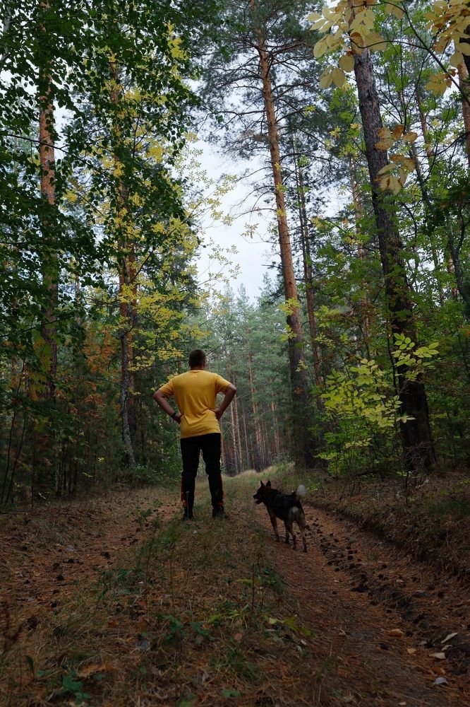 Photograph by Наталья Шамардина