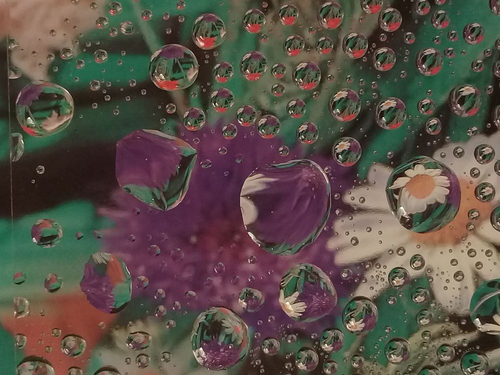 Photograph by محمدرضا کیانی
