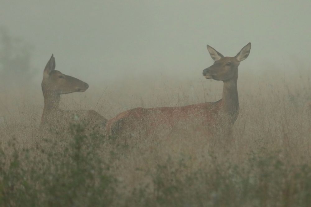 Photograph by Piotr Warzecha