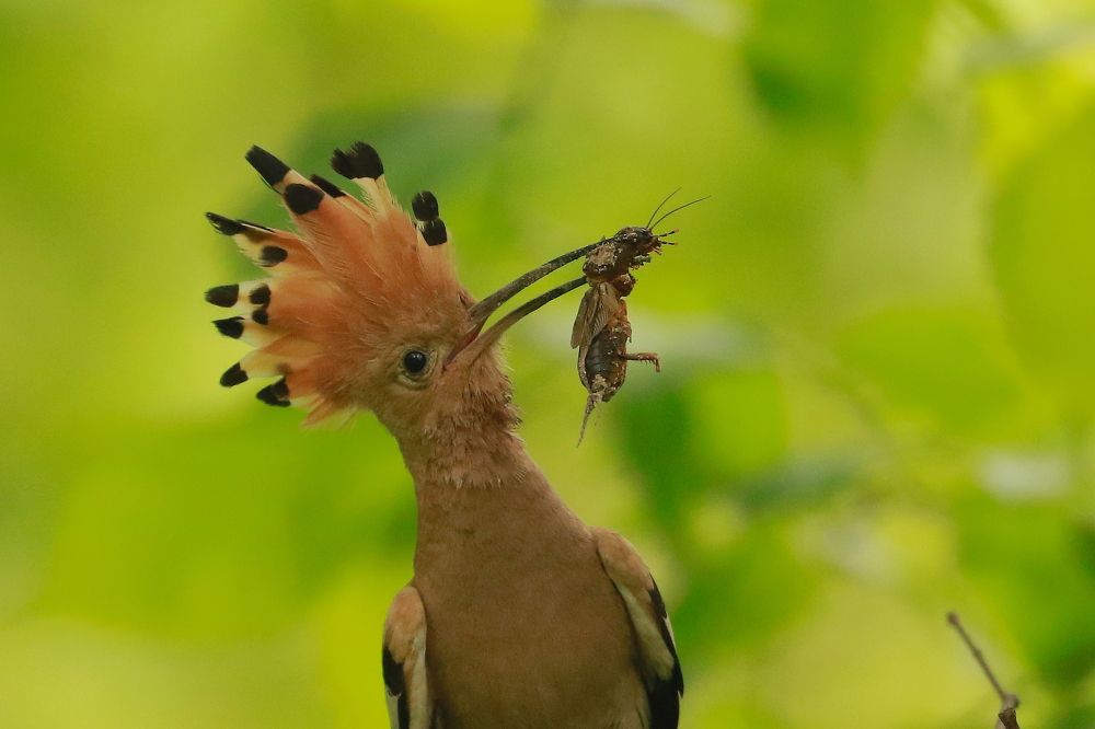 Photograph by Piotr Warzecha