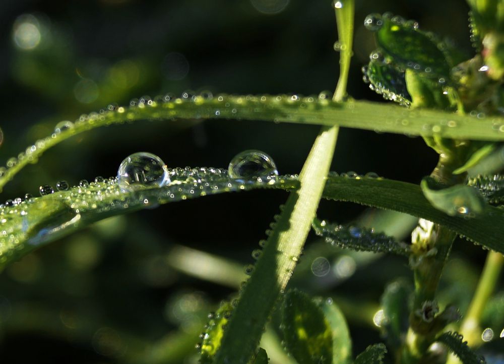 Photograph by Vlad Proshin