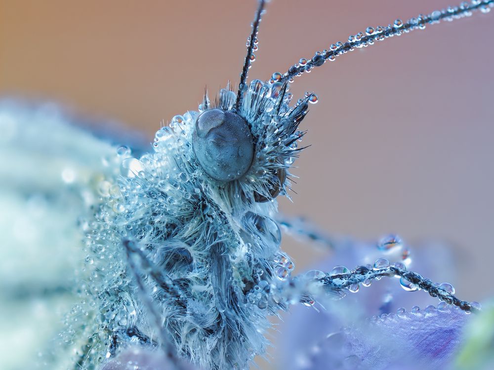 Photograph by Евгений Лукашук