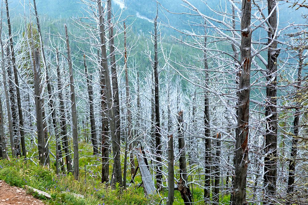 Photograph by Максимова Ольга Васильевна