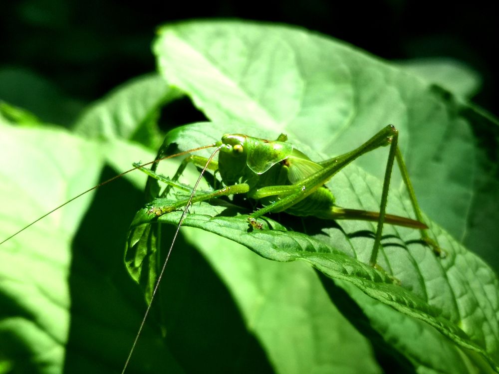 Photograph by Marina Razheva