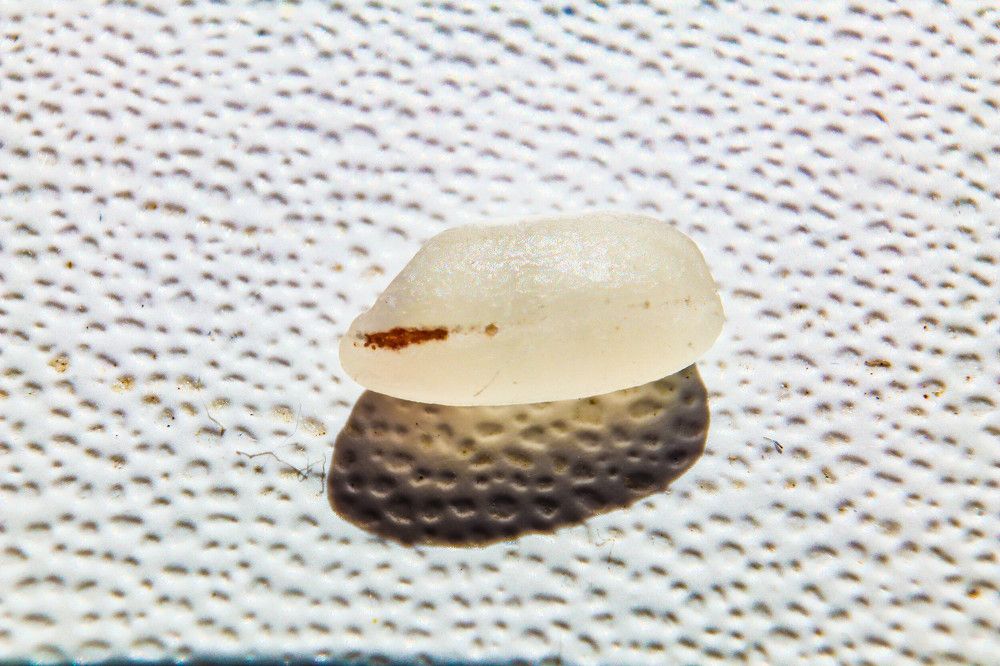 Photograph by Денис Геранькин