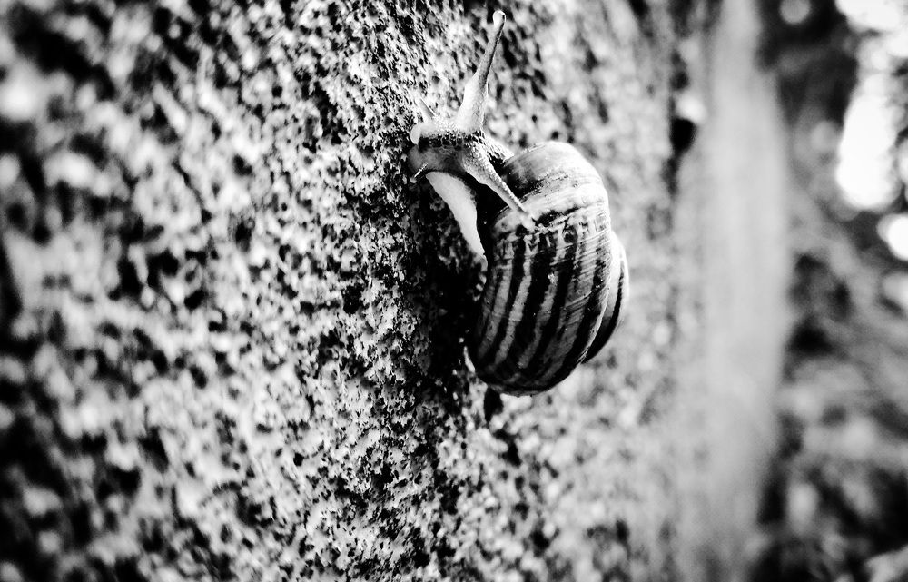 Фотография автора Карина Гурова