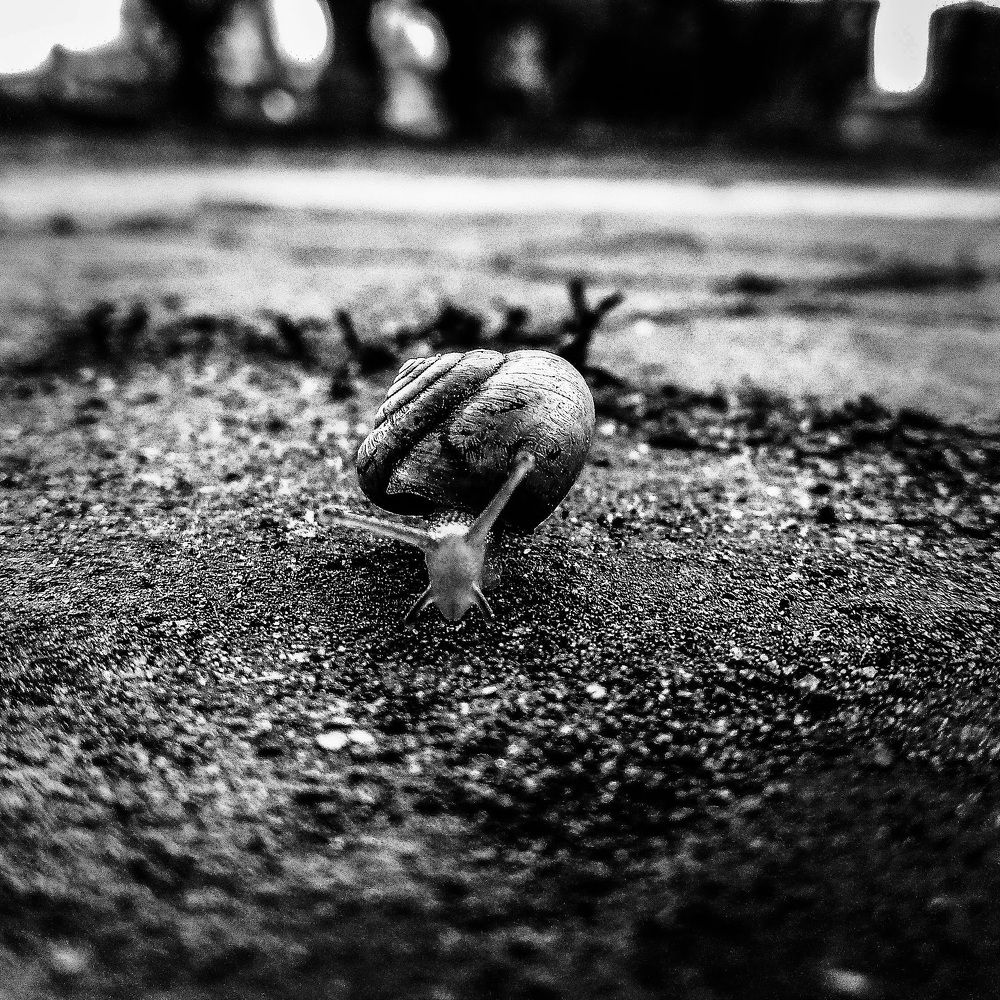 Фотография автора Карина Гурова