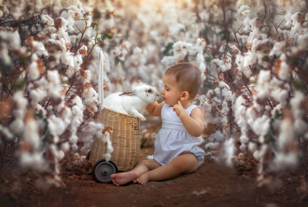 Photograph by yarden kaplan